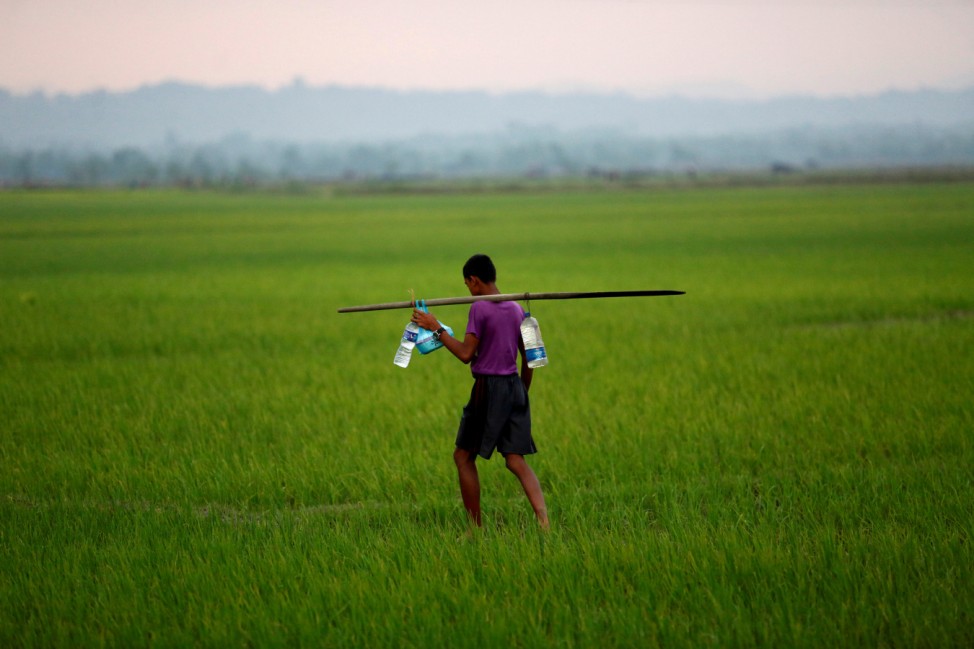 A man carries bottled water as he walks through a paddy field in Teknaf