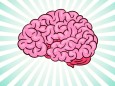 Gedächtnis Gehirn IQ-Test Intelligenz