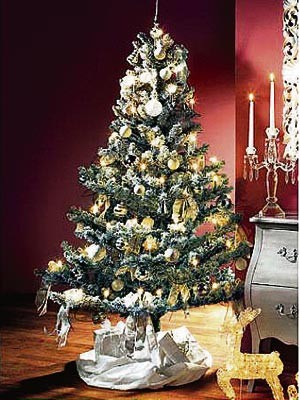 Weihnachtsbaum Christbaum