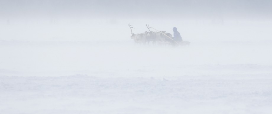 Nomaden in Sibirien: Die Liebe zu den leeren Landen: Die meisten Nenzen leben und wandern bis heute mit ihren Rentieren.