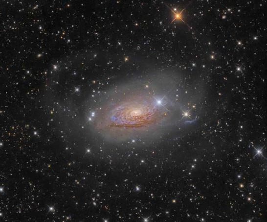 M63 Star Streams and the Sunflower Galaxy © Oleg Bryzgalov