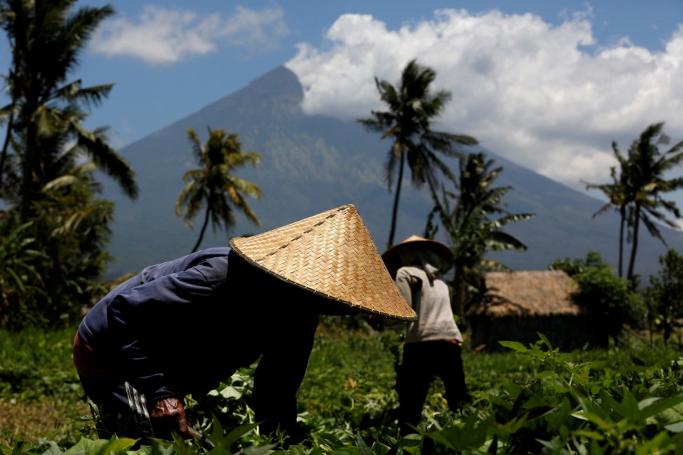 Mount Agung is seen as farmers tend their crops near Amed, Bali