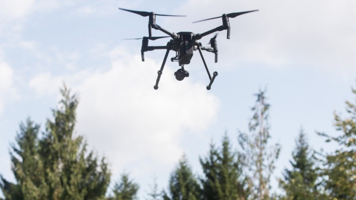 Drohnen im Wald