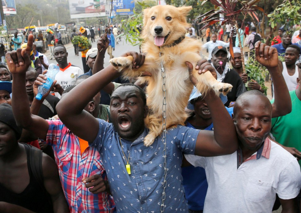 Supporters of Kenyan opposition National Super Alliance (NASA) coalition, hold up a dog during a demonstration in Nairobi
