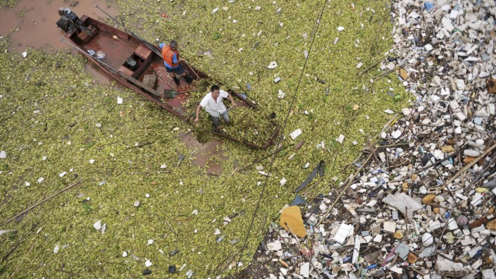 Workers clear floating plants and garbage off the surface of the Yangtze River at a section in Chongqing municipality