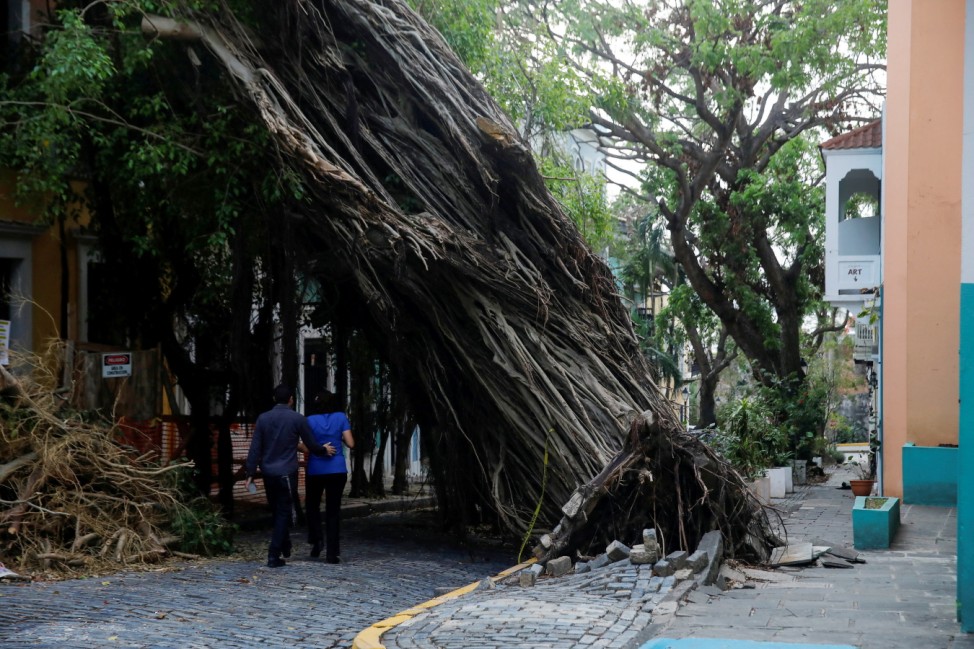 A couple walks by a damaged tree in the Hurricane Maria affected area of Old San Juan