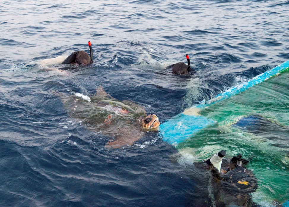 Search and rescue swimmers from the Arleigh Burke-class guided-missile destroyer USS Howard rescue a sea turtle entangled on a semi-sunken fishing vessel