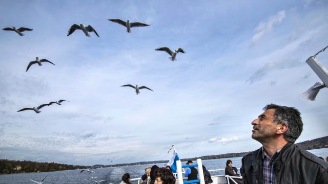 Starnberger See: Auch die Möwen nutzen die letzte Gelegenheit in diesem Jahr, bei Fahrgästen um Futter zu betteln - auch bei Rieyad Kanjo, der mit seinen Kindern an Bord ist.