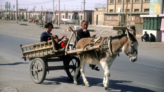 Report: Gestern – ein Eselskarren rollt durch die Straßen von Ürümqi, das gehört noch immer zum Bild der Stadt.