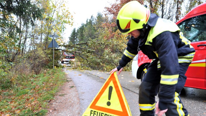 Gilching Weßlingerstr. Feuerwehreinsatz : Umgestürzter Baum