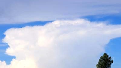 Klimaforschung: Cumulonimbus (Gewitterwolken) sind vertikale Quellwolken, die den Boden kühlen.