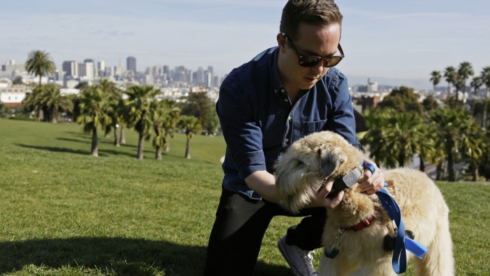 Tier-Gadgets: In einem Park in San Francisco demonstriert Firmengründer Russell Gipson Shearer an seinem Hund einen GPS-Tracker.