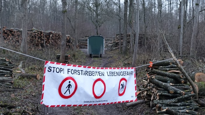 Umwelt: Eine Fällaktion in den Auwäldern an der Donau erzürnt Naturschützer. Der Wittelsbacher Ausgleichsfonds sagt, er halte grundsätzlich alle Vorgaben für eine nachhaltige Waldwirtschaft ein.