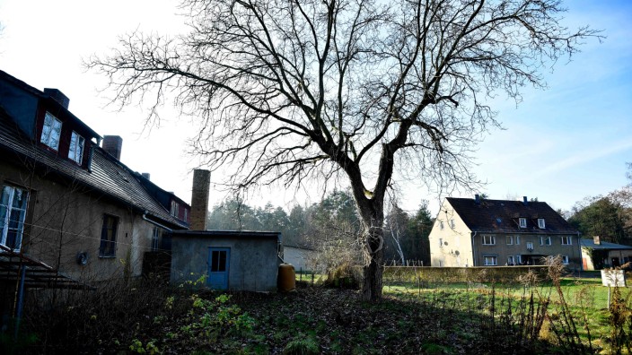 Brandenburg: Alwine, eine brandenburgische Siedlung mitten im Wald.