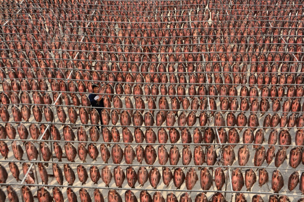 A worker hangs dried fish onto poles at a processing facility on the outskirts of Hangzhou