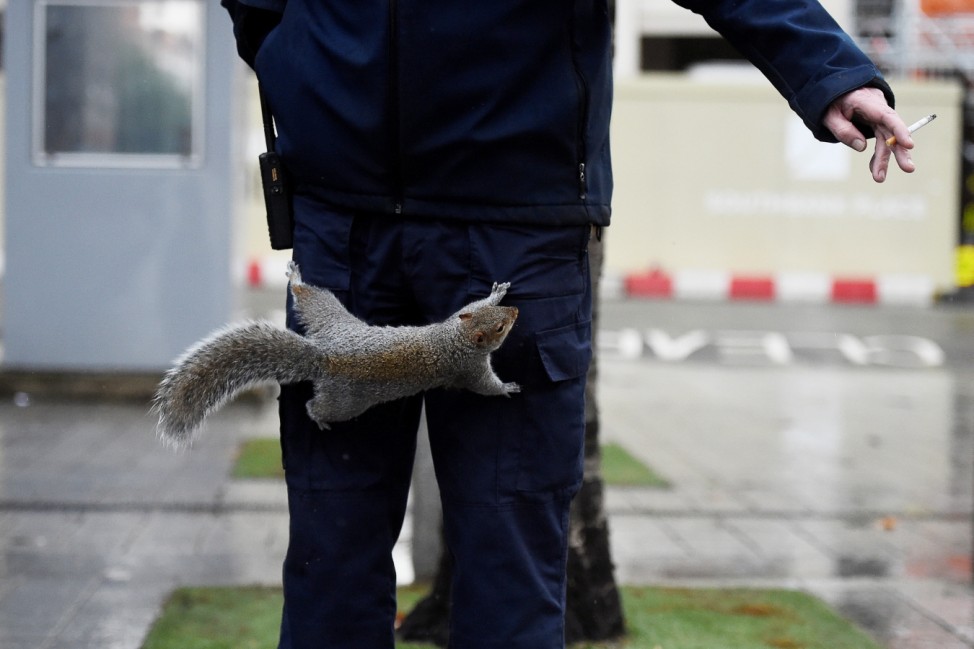 A squirrel is trying to steal a cigarette from Tony Bousell, who is on a break from work, near the Southbank area of London