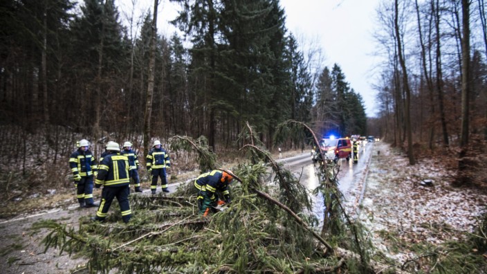 Unwetter im Landkreis Starnberg: Die Feuerwehr Erling-Andechs beseitigt einen umgestürtzten Baum auf der Staatsstraße nach Herrsching.