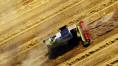Finanzkrise erreicht Landwirte: Die Finanzkrise trifft jetzt auch die deutschen Landwirte: Sie können ihre Getreideernte nicht verkaufen. Das Bild zeigt einen Landwirt in Sachsen bei der Ernte.