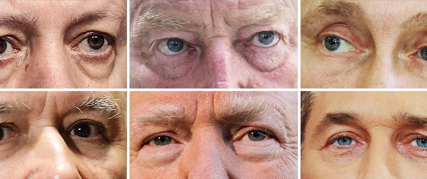 Krise des Westens: Nicht verwechseln! Das Autoritäre hat viele Gesichter. Von oben links im Uhrzeigersinn: Erdoğan, Gauland, Putin, Strache, Trump, Kaczyński