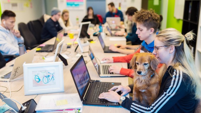 Mitarbeiterin sitzt mit Ihrem Hund auf dem Schoß im Büro Start up Unternehmen Radbonus in Köln