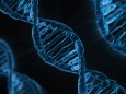 DNA Helix Doppelhelix Gene Gentherapie