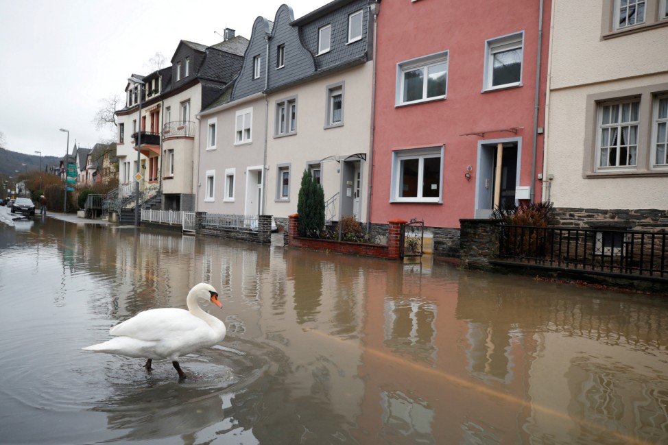 A swan crosses a street flooded by the river Moselle in Bernkastell-Kues