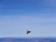 FIS Freestyle Ski & Snowboard World Championships 2017 - Previews; snowboard