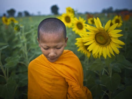 Buddhistischer Mönch in Thailand, ap