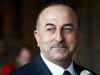Turkish Minister of Foreign Affairs Mevlut Cavusoglu attends a news conference in Goslar