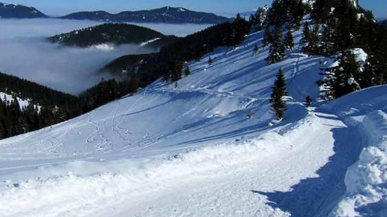 Ausflug bei Schnee: Pürschling bei Unterammergau und Oberammergau im Winter / Rodeln Bobfahren Schlitten