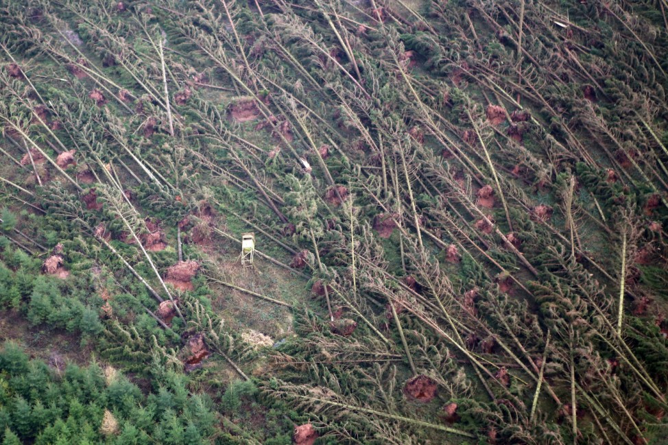 Waldschäden nach Orkan Friederike