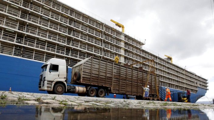 A truck lines up before cattle are loaded into the NADA vessel in the port of Santos