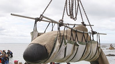 Drama um Wale in Australien: Aufwändige Rettungsaktion: Mit einem Kran hieven freiwillige Helfer einen Wal zurück ins Meer.