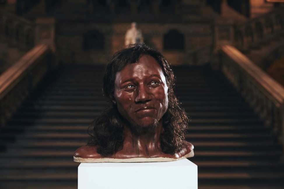 A likeness of 'Cheddar Man', Britain's oldest known almost complete human skeleton is seen at the Natural History Museum in London