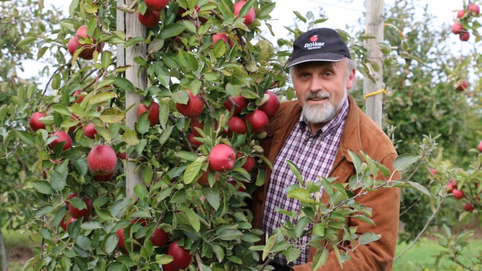 Landwirtschaft: Peter Rolker ist Obstbauer in Jork im Alten Land und Vizepräsident des Europäischen Bioobstforums. In Deutschland fehle die Wertschätzung für regionale Früchte, sagt er