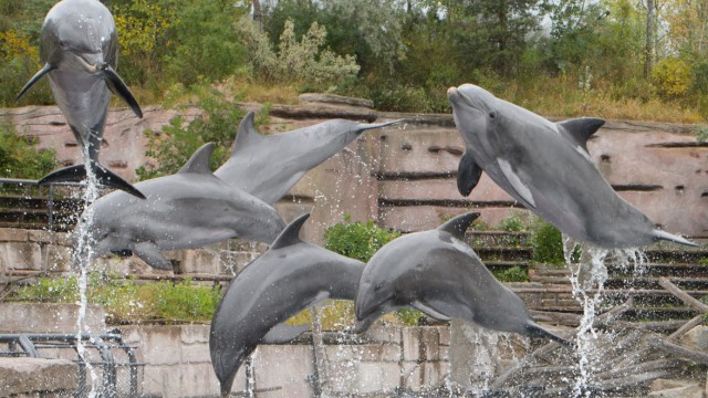 Vorstellung der neuen Delfin-Waage des Nürnberger Tiergartens