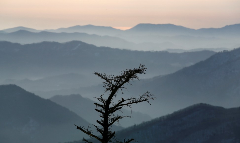 Tree is silhouetted in the morning light in front of the mountains surrounding Yongpyong Alpine Centre