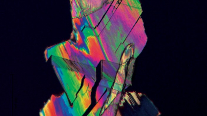 This is a crystal of furandicarboxylic acid, or FDCA, a plastic precursor created with biomass instead of petroleum.