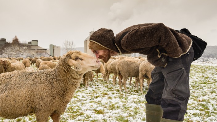 Reden wir über Geld mit Sven de Vries: "Über Monate oder Jahre entwickelt sich zwischen dem einzelnen Schaf und mir eine Freundschaft", sagt Schäfer Sven de Vries.