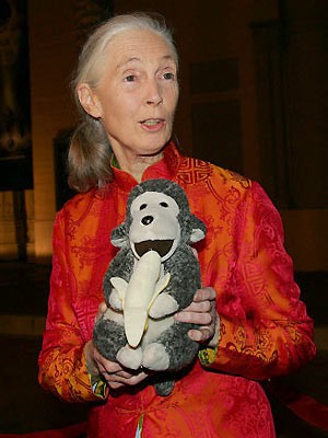 Jane Goodall wird 75