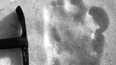 Serie: Mythen von Monstern (12): Das berühmte Foto aus dem Jahr 1951 zeigt einen großen, ungewöhnlich geformten Fußabdruck.