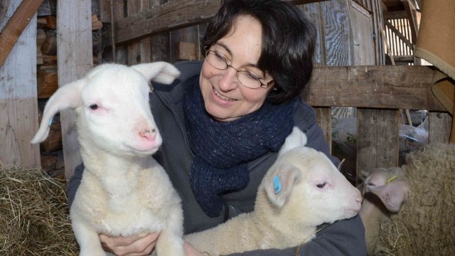 Besuch bei Tierhaltern: Barbara Ribitsch hält die Schafe auf dem Obergrashof aus Liebhaberei.