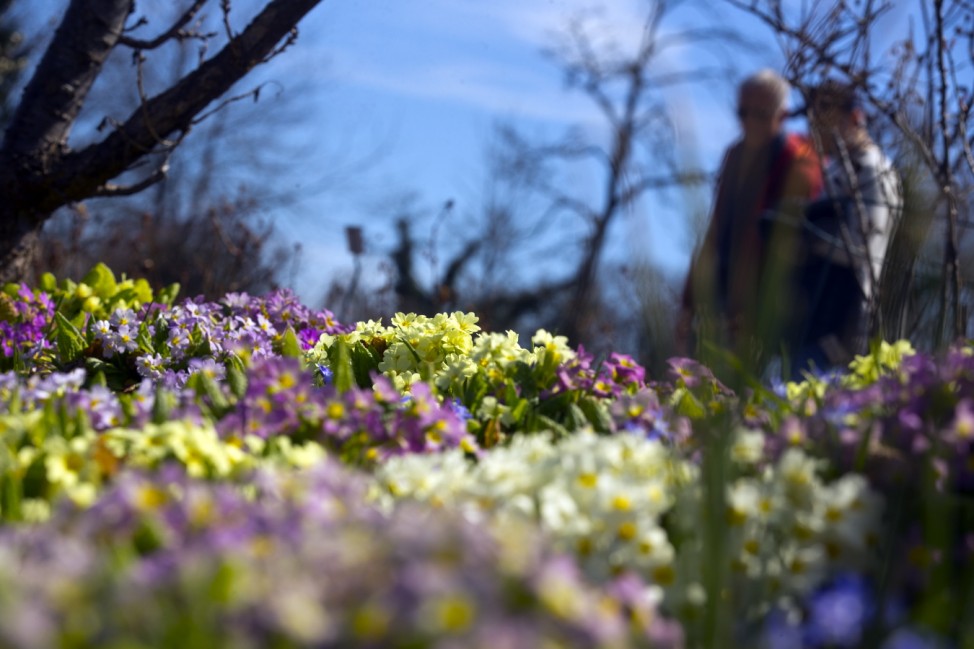München: Blumenpracht im Botanischen Garten