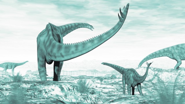 Herd of Spinophorosaurus dinosaurs looking for water PUBLICATIONxINxGERxSUIxAUTxONLY Copyright Elen