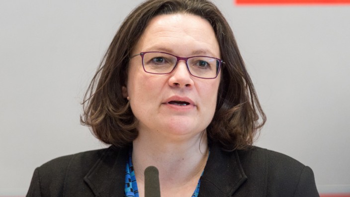 SPD-Chefin Andrea Nahles spricht vor der Bundestagsfraktion - die Partei möchte 2018 ihre Erneuerung starten.