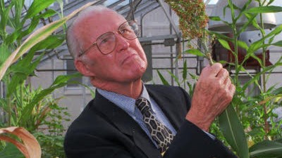 Zum Tod von Norman Borlaug: Mit Gentechnik gegen den Hunger: Der "Vater der grünen Revolution", Norman Borlaug, ist in Dallas im Alter von 95 Jahren gestorben.