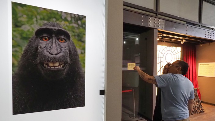 David Slater: Das Affenselfie von David Slater im "Museum of Selfies" in Kalifornien.