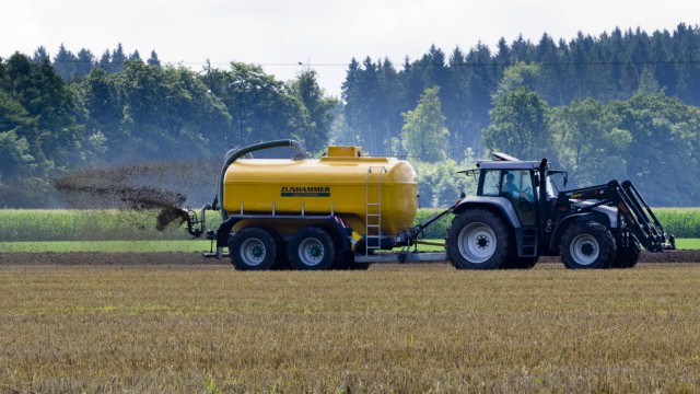 Energiekrise im Landkreis Ebersberg: Manche Feldfrüchte lassen sich auch mit Gülle oder Resten aus der Biogasanlage düngen, aber eben nicht alle.