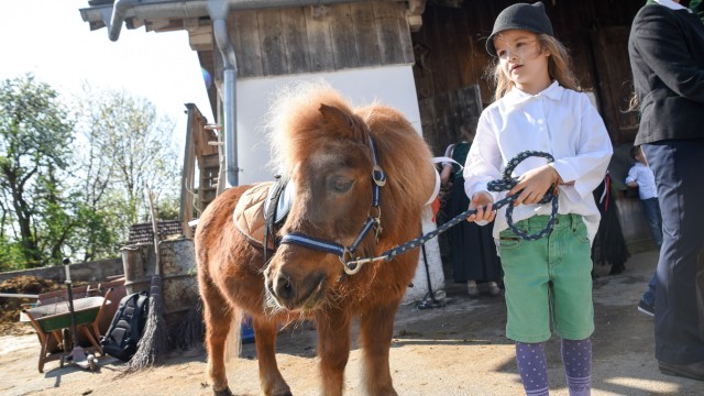 Tradition: Sophia führt ihr Pony mit Stolz.