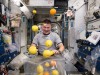 Fresh fruit for NASA's astronauts, ISS - 25 Aug 2015